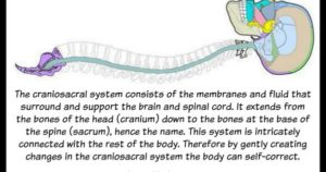 cranio sacral with Ally