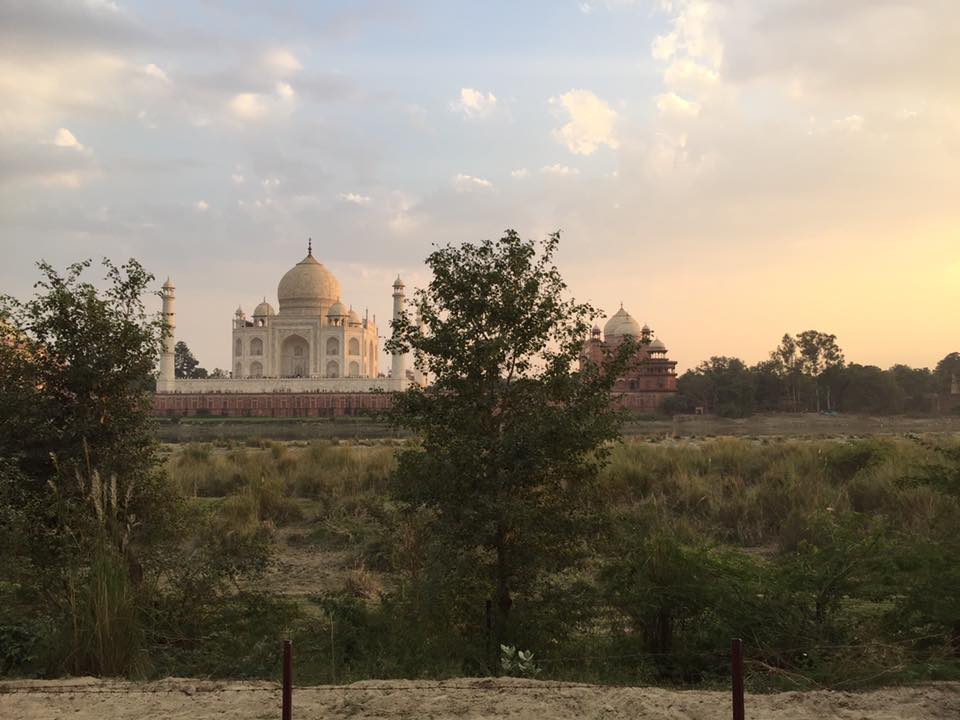 back of Taj Mahal at Sunset by Ally Tantra